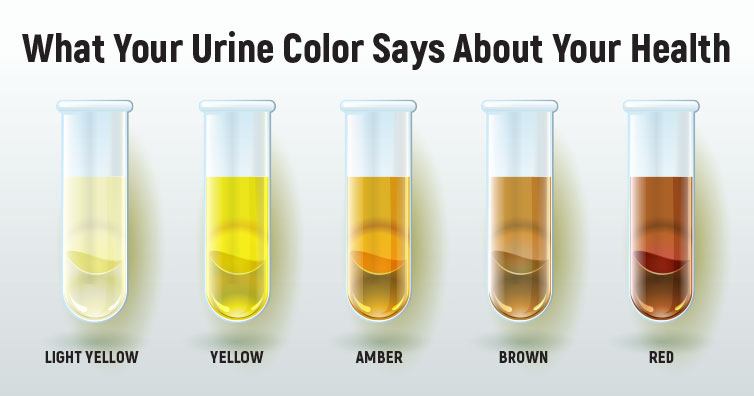 heres what the color of your urine reveals about your overall health