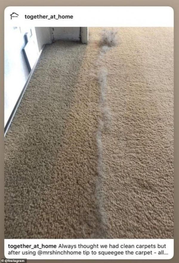 This Simple Cleaning Hack Will Leave Your Carpet Spotless ... - 600 x 882 jpeg 86kB