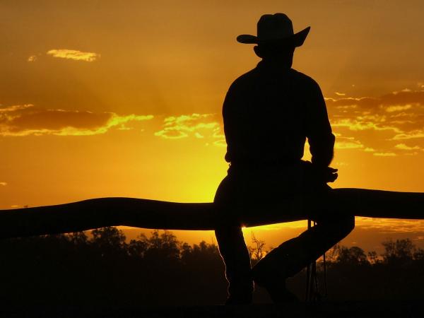These Cowboy Words Of Wisdom Will Make Your Day