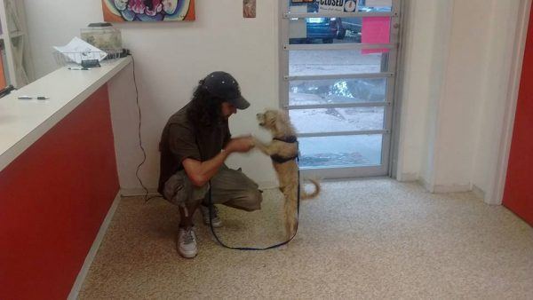 She Reunited This Homeless Man With His Dog After Seeing His Sign