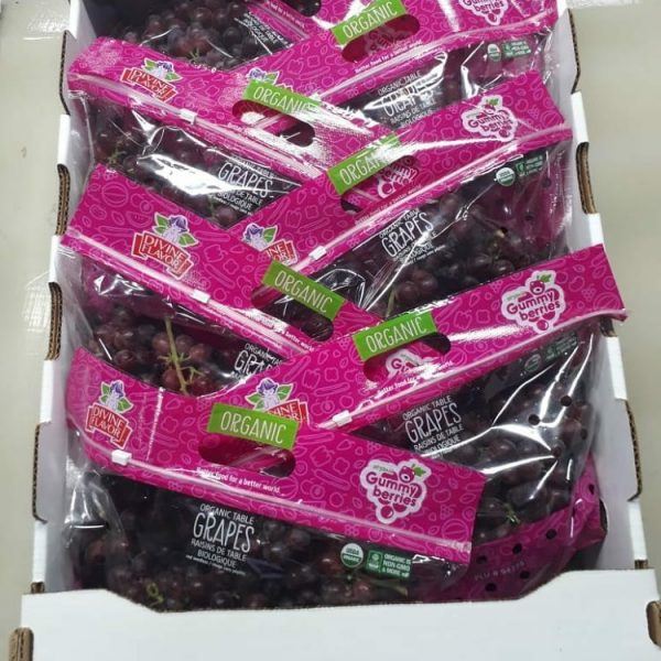 Cotton Candy Grapes are Back! Have You Tried Them Yet?