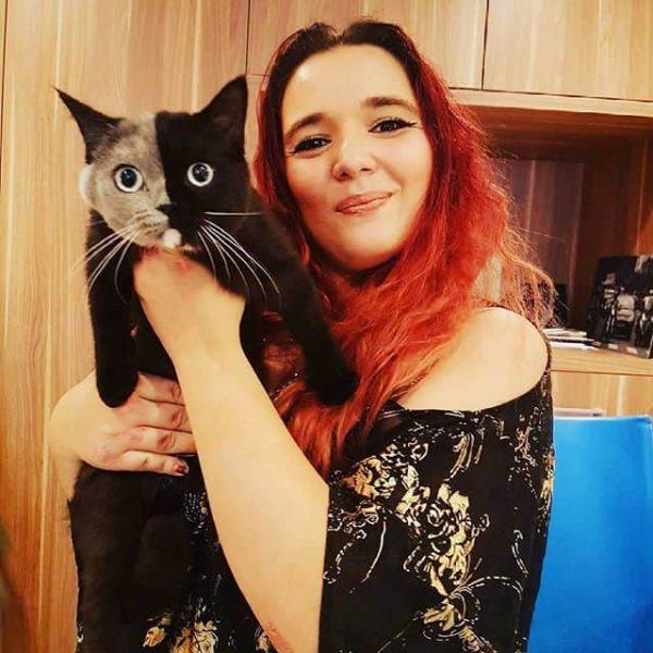 Kitten is born with two faces – here's what she looks like now that she's grown up