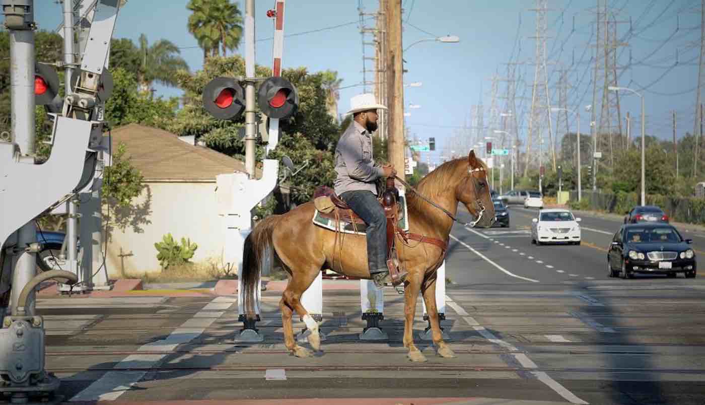 Meet The Cowboys' Who Are Using Rescue Horses To Help Save At