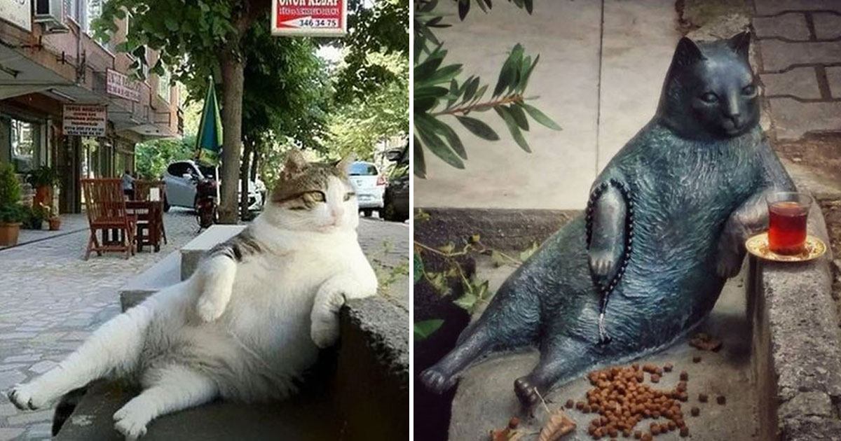 Istanbul Builds Statue To Honor Their Most Famous Cat