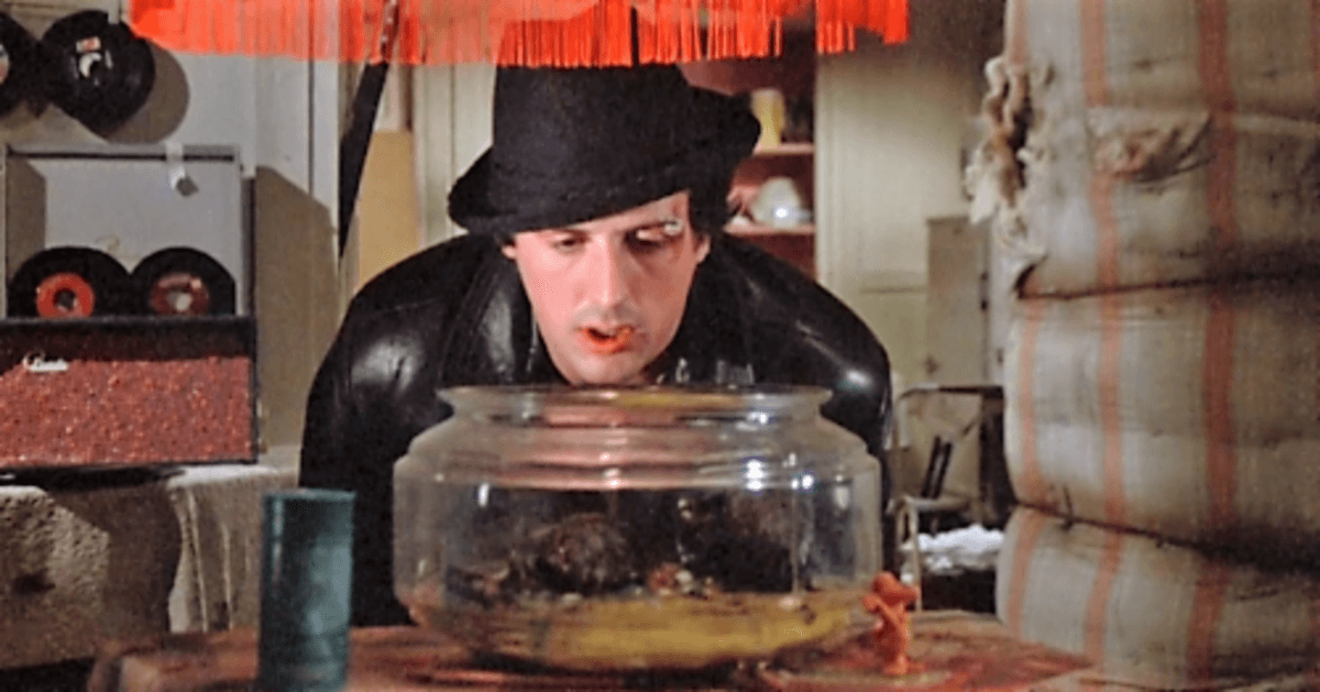 Sylvester Stallone Still Owns Turtles From 'Rocky' Movie They Are Now 44!