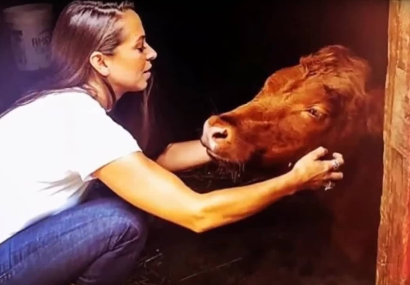 Терапевтическое воздействие