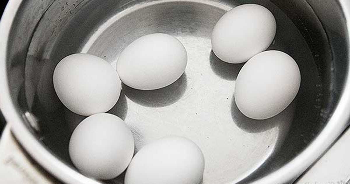 Top Cook Reveals How To Make The Perfect Hard Boiled Egg