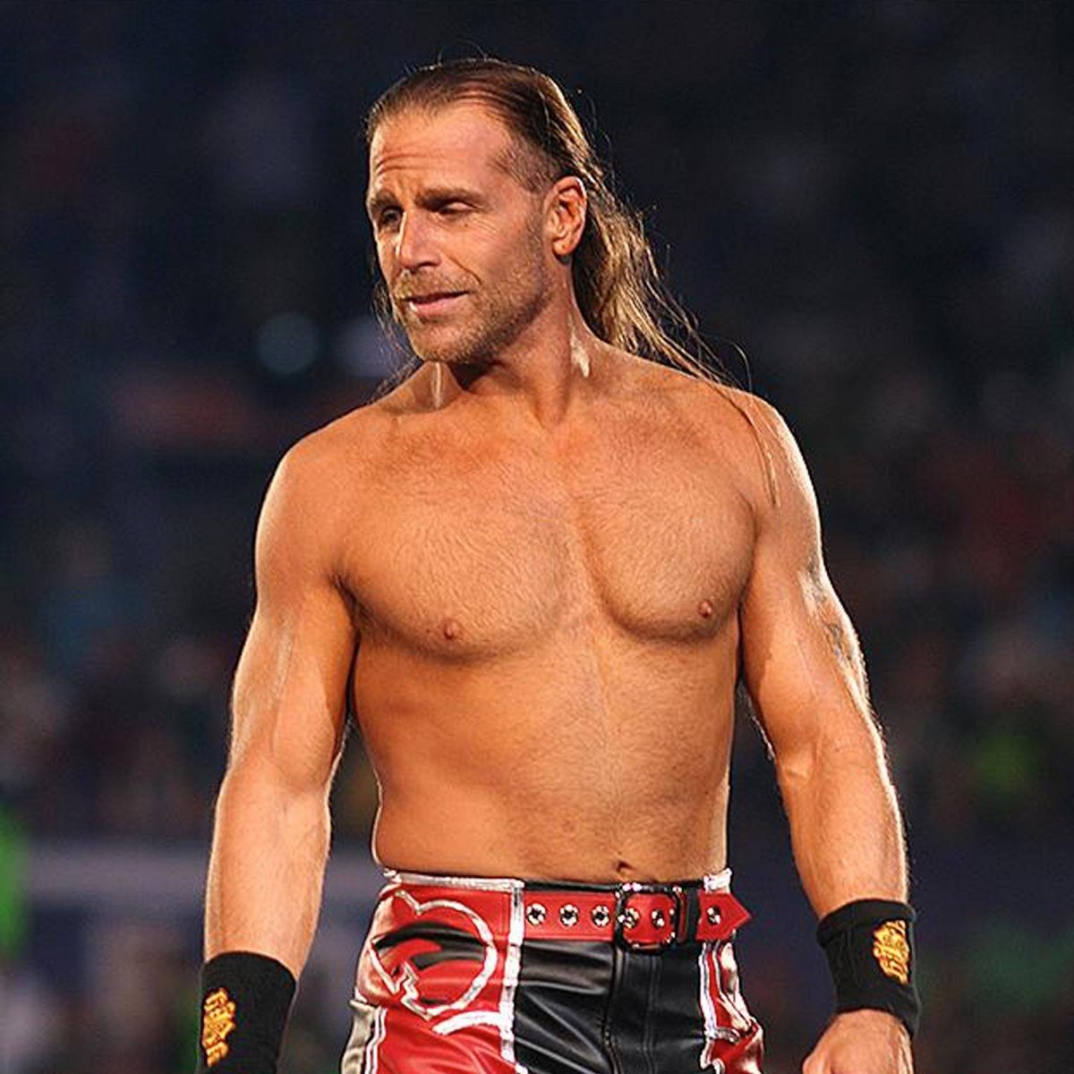 Shawn Michaels