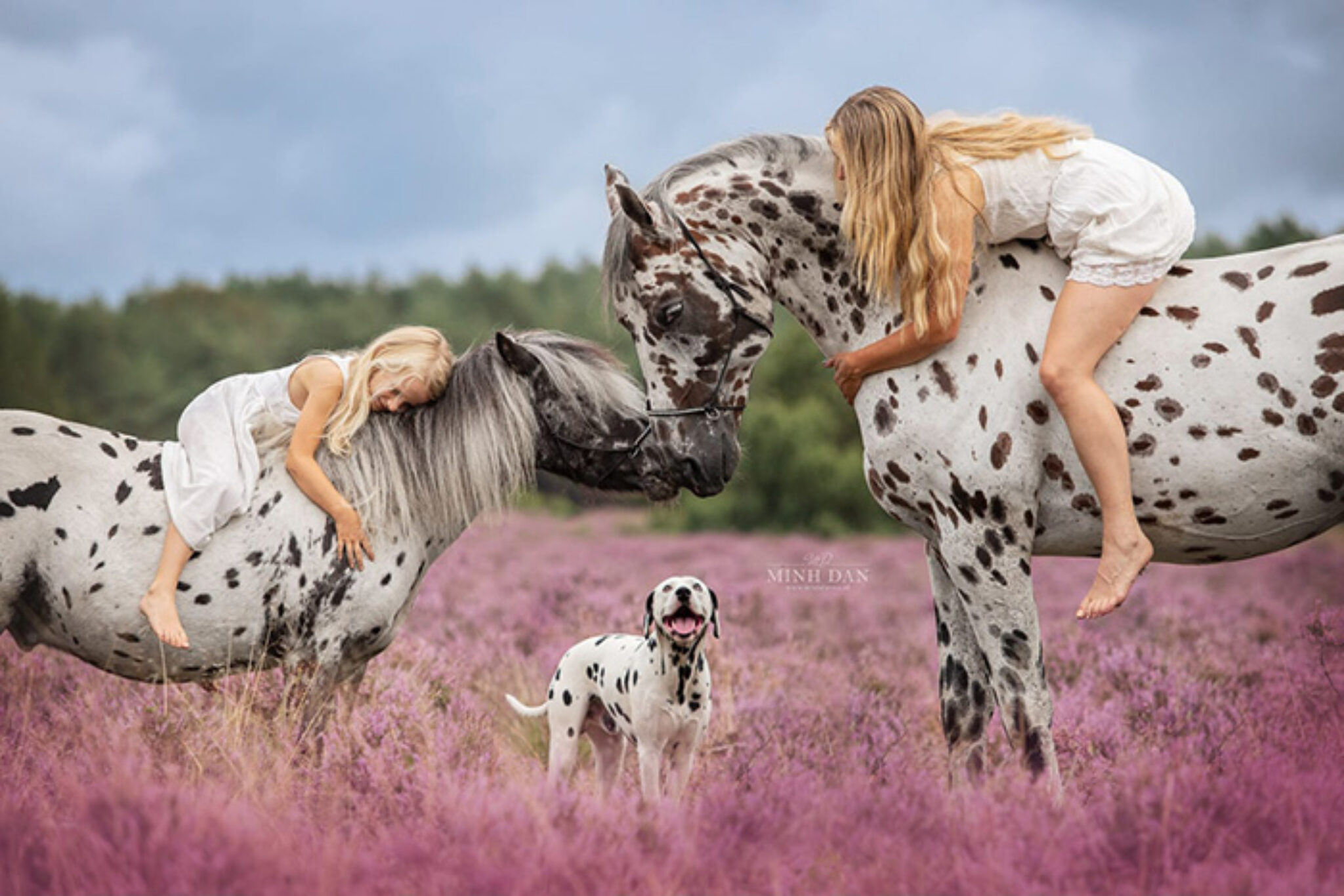 The most adorable photos show the sweet friendship between a horse